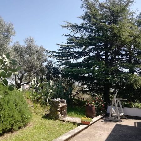 Апартаменты La Campagna Di Rosy Дженцано-ди-Рома Экстерьер фото